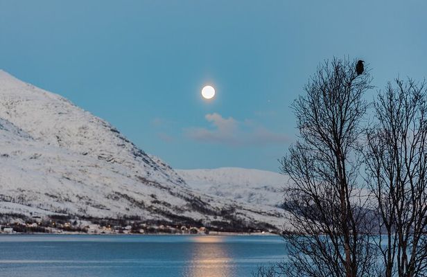 Five Tromso Fjords Tour by Minivan in Four Hours