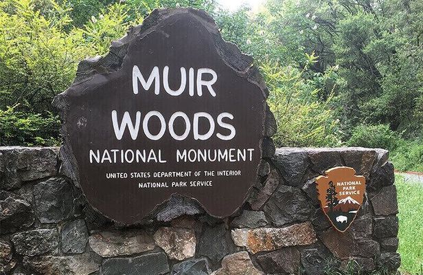 Muir Woods & Sausalito: Small Group Experience