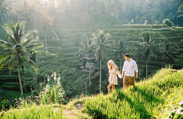 Bali Tour - All Inclusive Ubud Private Day Tour