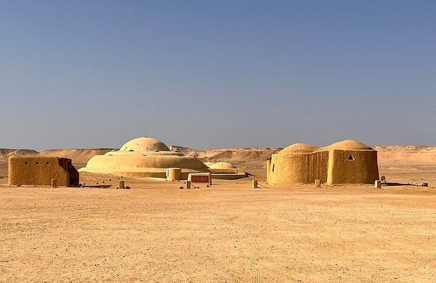 Private Tour To Faiyum Oasis From Cairo or Giza