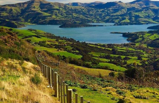 Akaroa Group Day Tour from Christchurch
