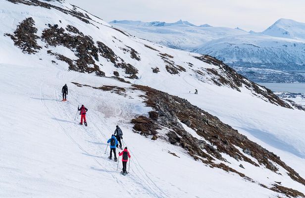 Small Group Snowshoe Hike in Tromso