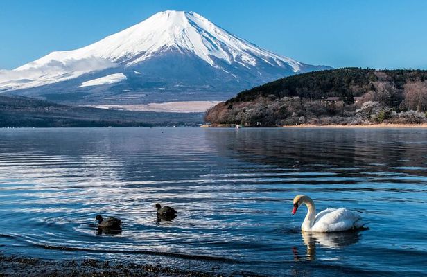 Mount Fuji Private Tour With English Speaking Driver