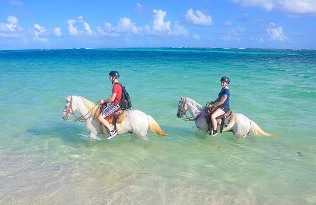 Punta Cana Horseback Riding Adventure