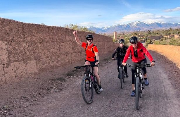Guided tour of the Palmerie de Skoura by electric mountain bike