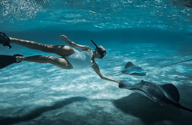Moorea: Private Snorkeling Tour with Certify Guide