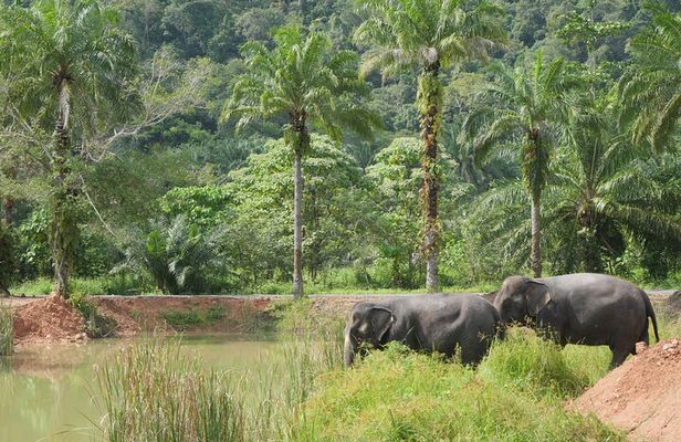 Wildlife Watching Adventure in Ao Nang