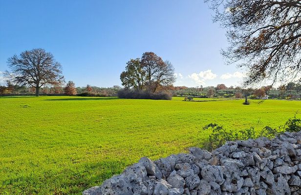 E bike tour from Alberobello to Locorotondo round trip