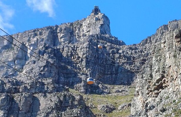 Half Day Table Mountain & Kirstenbosch Gardens 