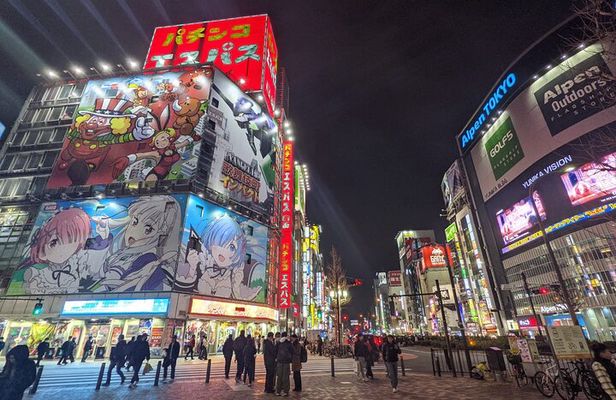 Tokyo Shinjuku Private Night Tour with Gaming Experience