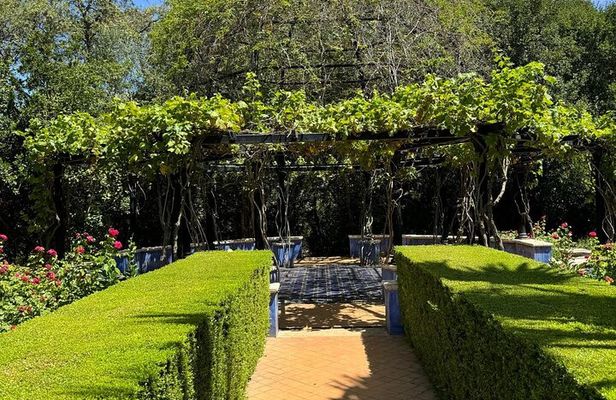 From Albir, Benidorm & Calpe: Denia & Mediterranean Gardens Trip