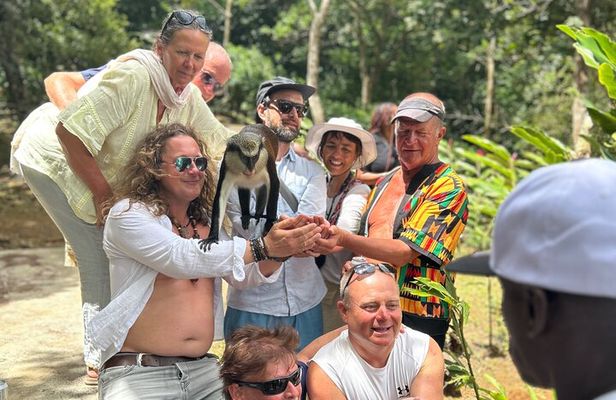 Paradise Unveiled Full Day Island Escape