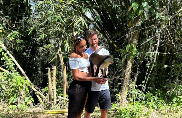 Paradise Unveiled Full Day Island Escape