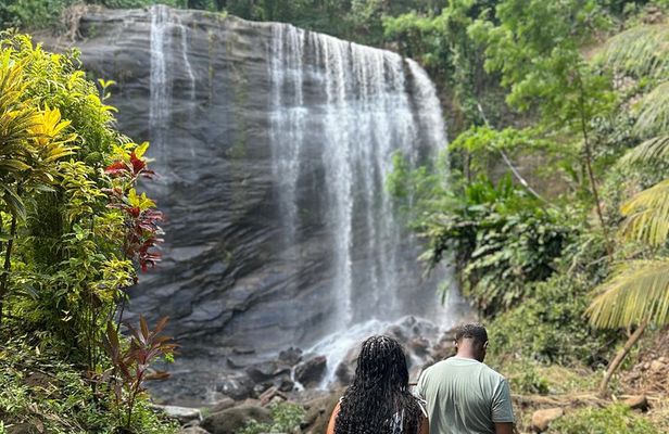 Paradise Unveiled Full Day Island Escape