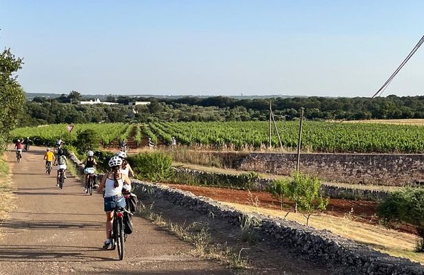 Locorotondo to Alberobello E Bike Tour 