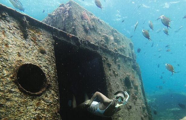 Che’s Snorkel trip! turtles, shipwrecks & photos (semi private)
