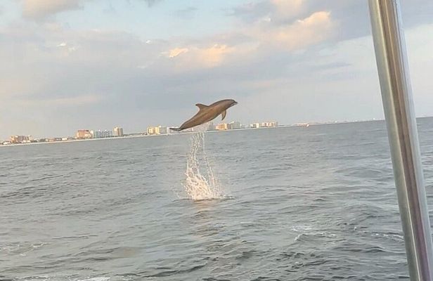 Sandestin Sunset Eco-Dolphin Cruise Aboard Sol y Luna