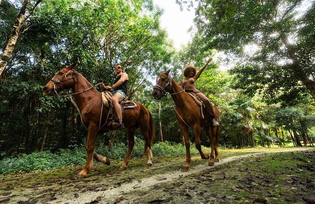 Extreme Horses Adventure with ATV, Ziplines & Cenote