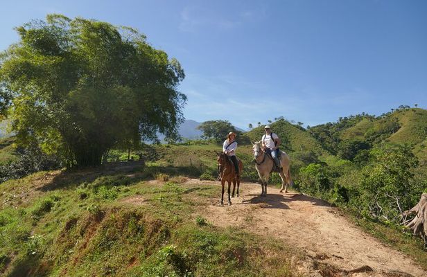 Horse Riding through Jungle with Local Lunch