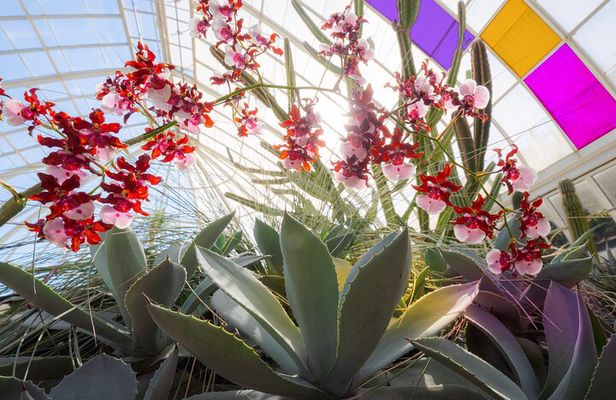 All-Garden Pass for the New York Botanical Garden
