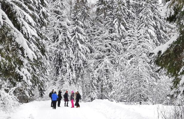 Lahemaa National Park and Three Waterfalls Tour