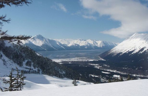 Turnagain Arm Winter Scenic Tour