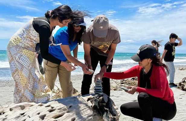 Franz Josef to Wanaka Small-Group Tour (One-Way) Includes Lunch