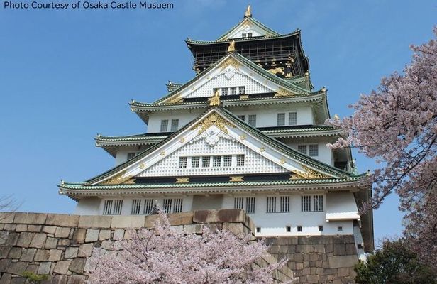 1 Day Takoyaki Making and Osaka Castle Walking Tour