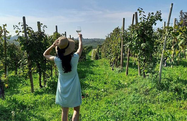 Half Day Prosecco Tour All Inclusive from Conegliano