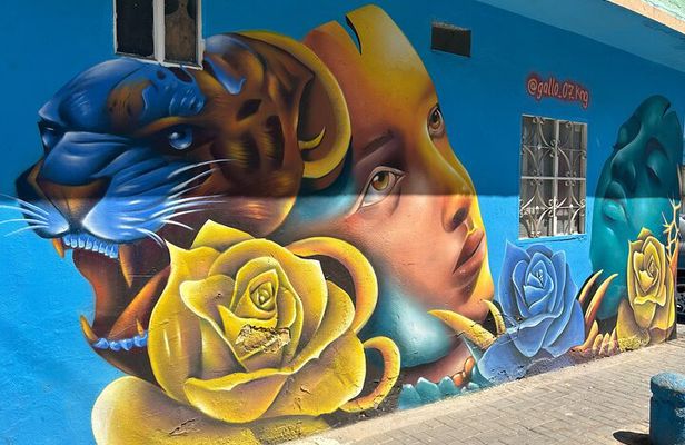 Graffiti tour in Ciudad Bolívar