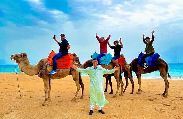Luxury day in Tangier from Tarifa including ferry & camel ride ….