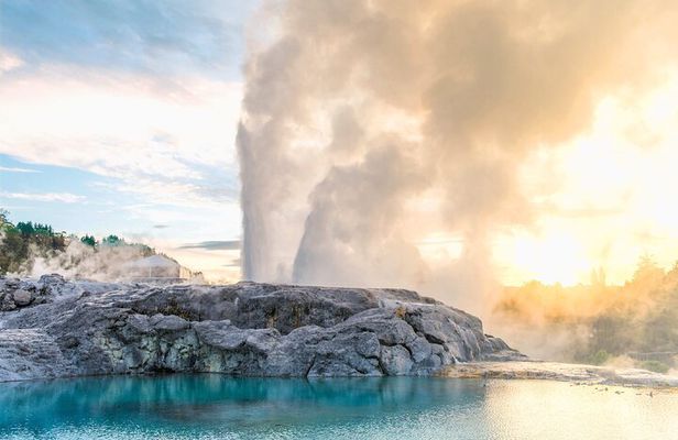 Te Puia Geothermal, Kiwi and Māori Art (Glow worms opt. extra)