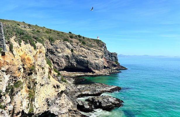 天际线 Private Dunedin City &Peninsula Scenery Day Tour ( up to 4 )