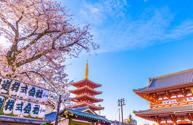 Tokyo: Asakusa History Walking Tour & Street Food