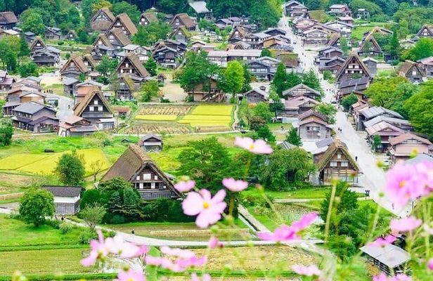 Nagoya Shirakawa go Village and Takayama One Day Tour