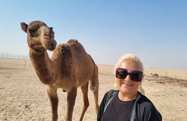 From Kuwait City: Premium Sightseeing Tour in 5 Hours