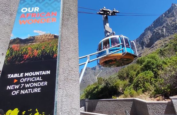 Private Tour:,Table Mountain ,Cape of Good hope & Penguins colony