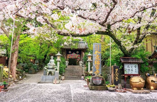 Fukuoka Kyushu Dazaifu, Nyoirin-ji Temple and Yufuin Day Tour