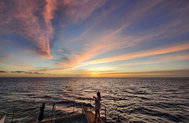 Private and Luxurious Sunset Cruise with Whale & Dolphin Watch