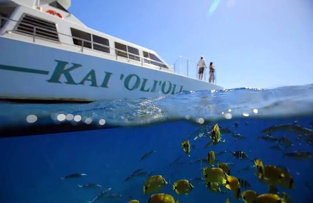 Oahu: Private Sunset Snorkel and Dolphin Watch with Hot Buffet
