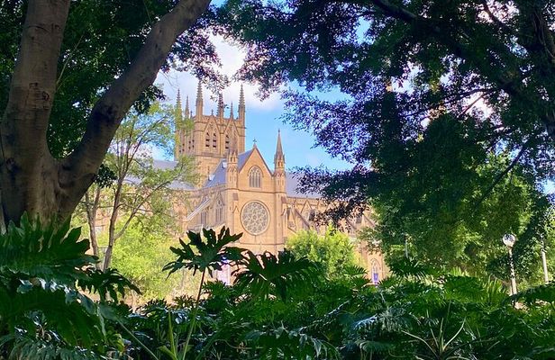 Sydney City Walking Tour