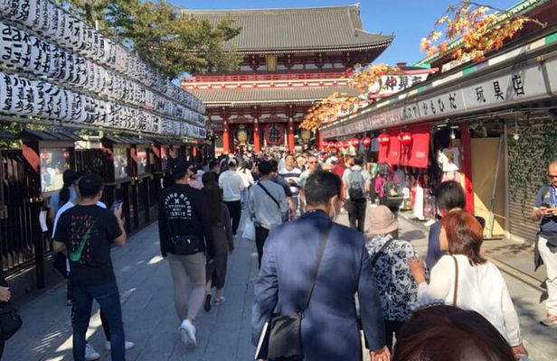 Tokyo Full Day Walking Tour with an Expert Local Guide