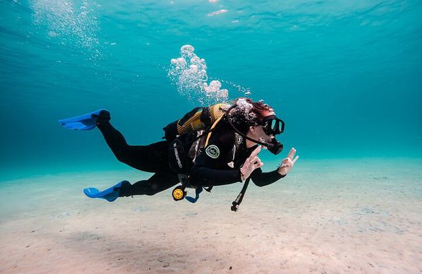Try Scuba Diving by Boat in Mallorca