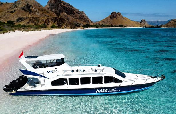 Full Day Komodo Tour With MK Express Speedboat Visit 6 Spot