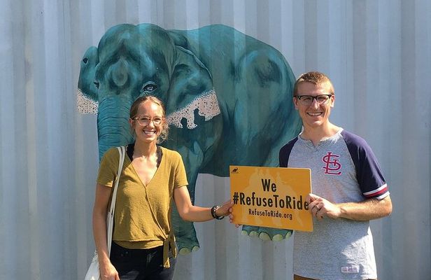 From Agra Private Transfers to Wildlife SOS Elephant Conservation