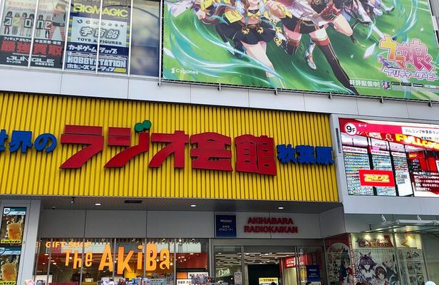 Akihabara Private Custom Tour with Pickup