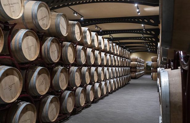 Guided tour and tasting at Duca di Salaparuta Winery 
