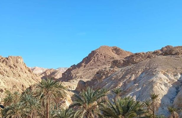 From Djerba Two Day Safari Tour to Tozeur.