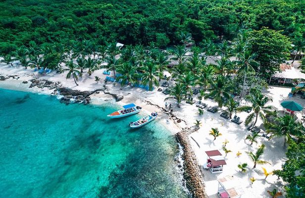 Isla Saona Speedboat Tour: Snorkeling with Turtles & Beach Escape