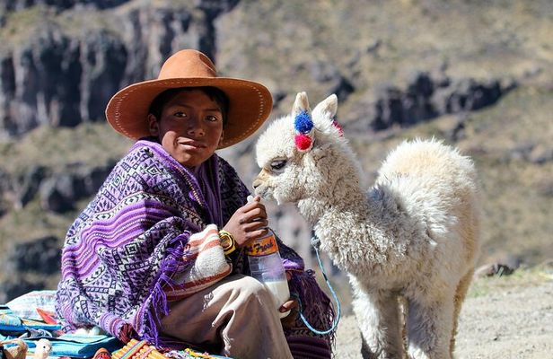 Full Day Colca Canyon Tour